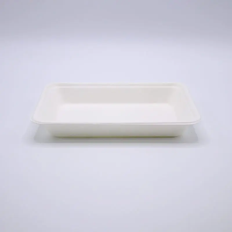 Charola caña de azúcar 195 x 145 x 25mm