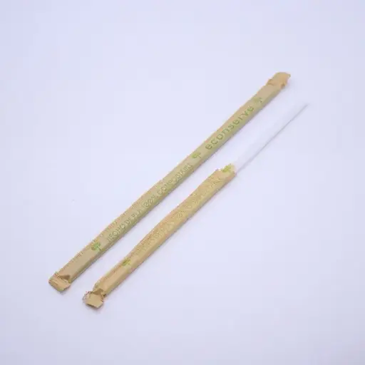 [PLAPE21] Popote PLA estuchado 21 cm